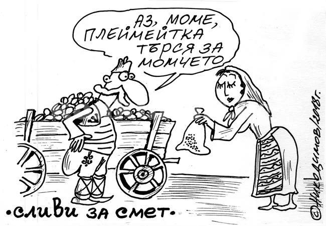 Сливи за смет