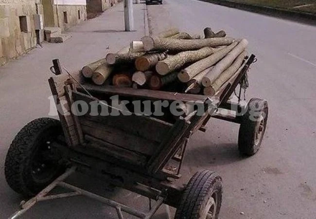 Спипаха двама с бракониерски дърва