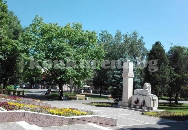 Засадиха 80 дървета и 1 700 храста