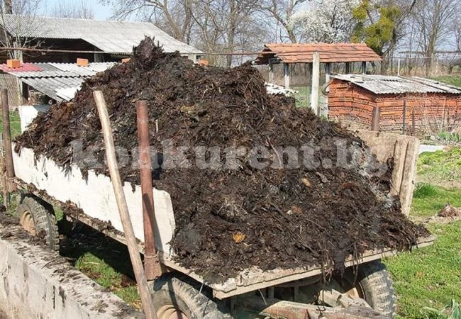 Куриоз! Арестуваха крадец на оборски тор