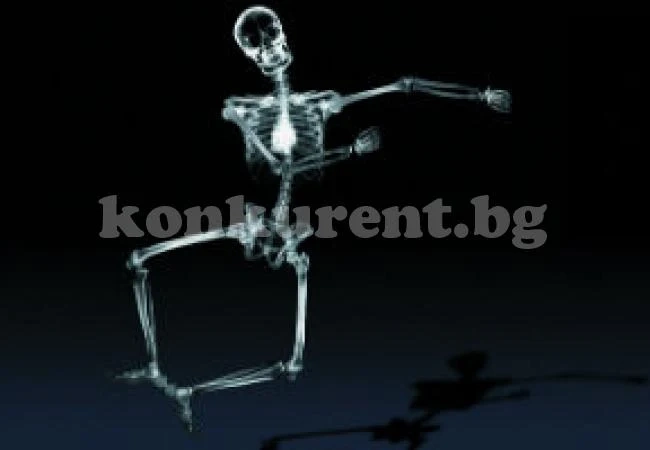 Човешкото тяло в цифри