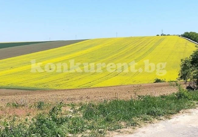 Чужденци купуват BG земя. Но срещу определени условия