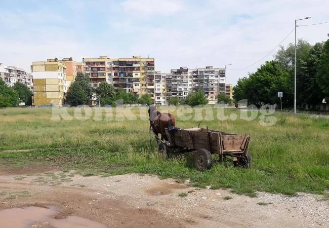 Удариха с акт нарушител на общинска наредба