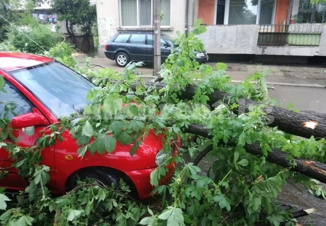 Пораженията от торнадото в Бяла Слатина са... СНИМКИ