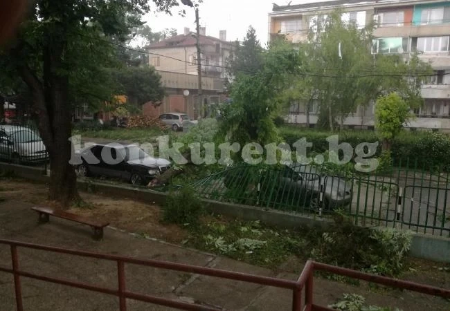 Обявиха бедствено положение в община Бяла Слатина
