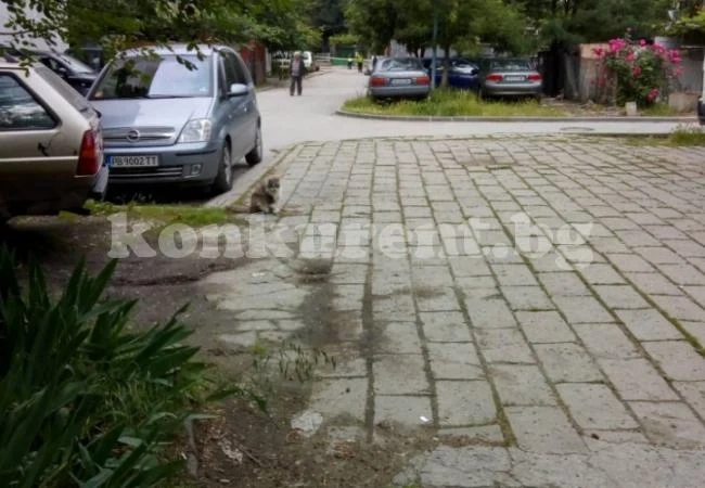 Страсти и смърт: Спецкомандос закла полицай в любовна драма (ОБЗОР)