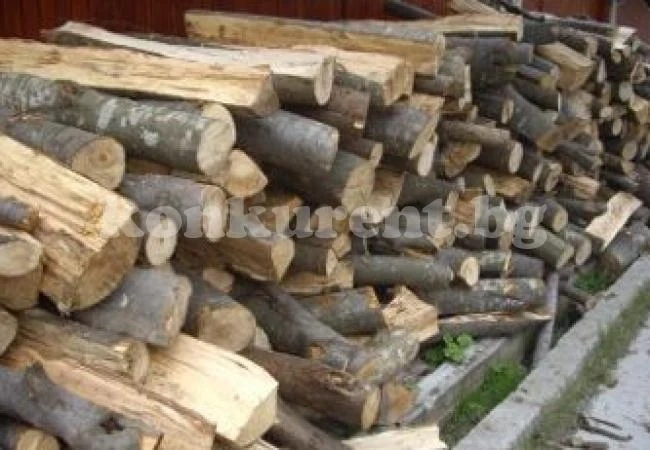 Горските иззеха бракониерски дърва
