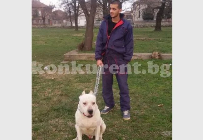 Умъртвяват дога, нахапал дете в Пловдив, ако не се появи осиновител