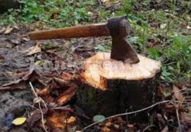 Осякоха гората на частен собственик
