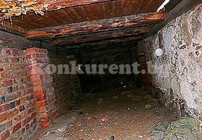 Мъжът, убил проститутка и крил трупа й в мазе, остава в ареста