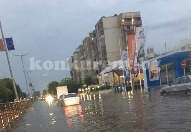 Спасители отводняваха помещения и отстраняваха паднали дървета