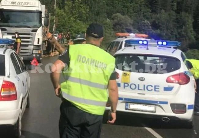ТИР се обърна и разпиля дървени трупи