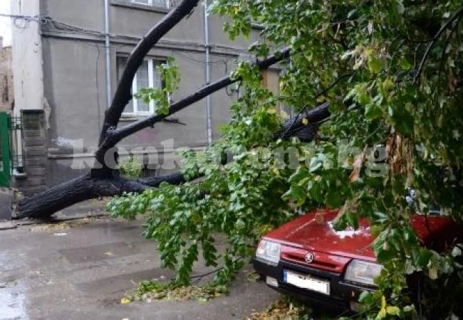 Потоп в Пловдив - дървета падат, 4 коли са премазани