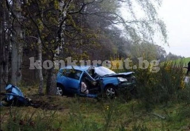 Пиян се натресе в дърво, вкараха го в болница