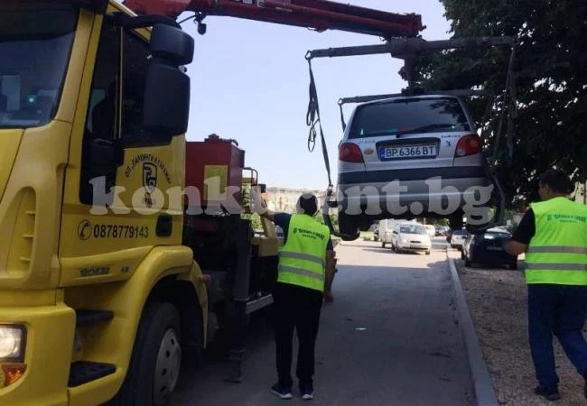 Паякът взе да „жили“ на Крайречния булевард СНИМКИ