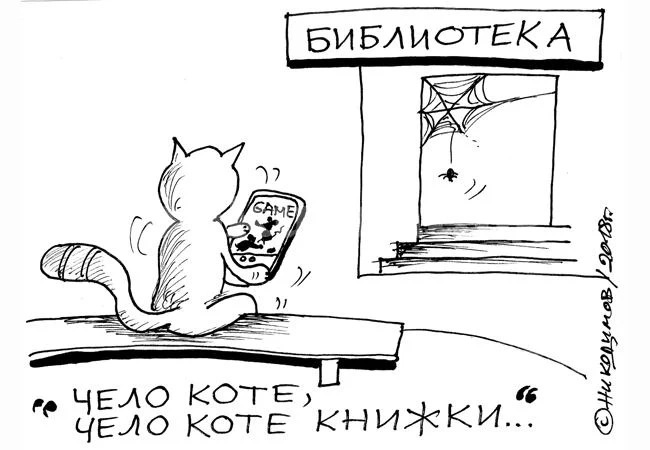 Чело коте, чело...