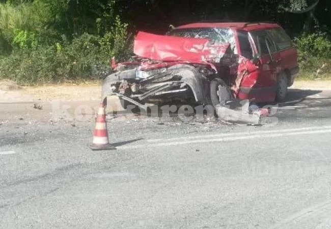 Баба, дядо и внуче помлени в катастрофа на Е79 (СНИМКИ)