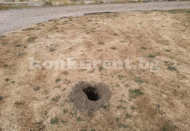 Мъж разкопа в градината си тайнствена стая и озадачи всички (СНИМКИ)