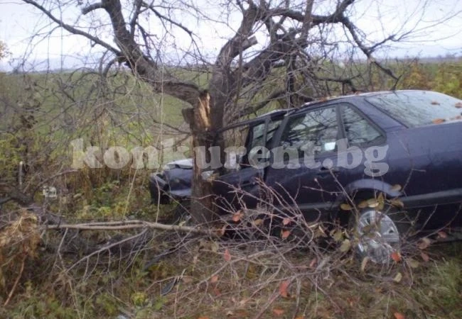 Врачанин заби „Мицубиши“ в крайпътно дърво в Балкана