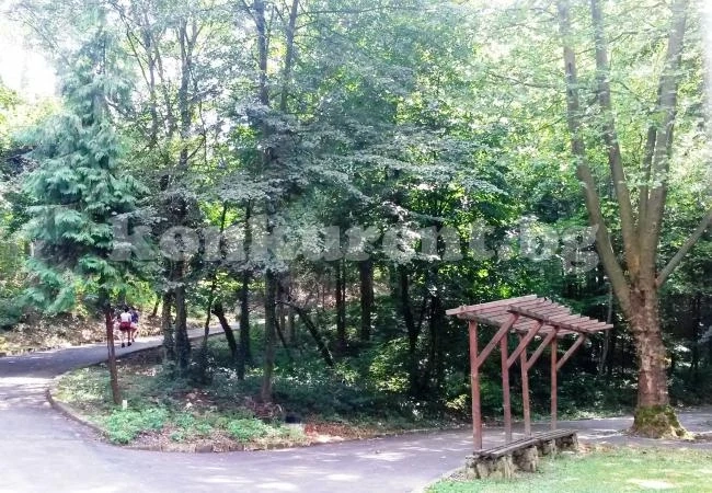 Обновяват градския парк във Вършец
