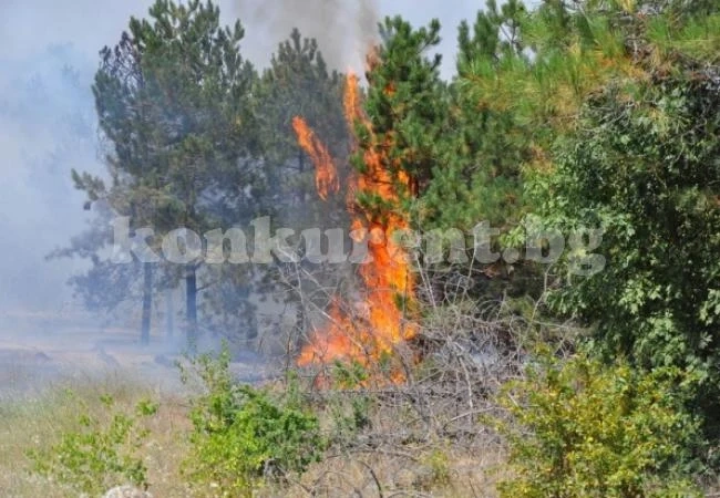 Голям пожар гори край Враца