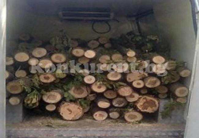 Спипаха младеж да превозва дърва без разрешително