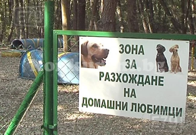 В Монтана правят и парк за кучета