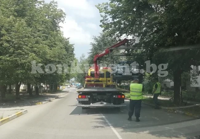 СНИМКИ Паякът ги подхвана наред и ги жили