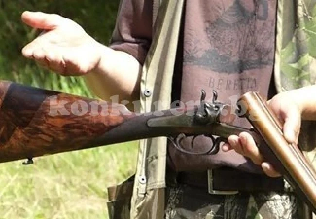 От днес се открива ловът на пъдпъдъци и гургулици