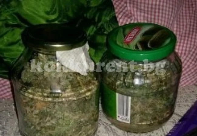 Нова мода: Консервират канабис в буркани