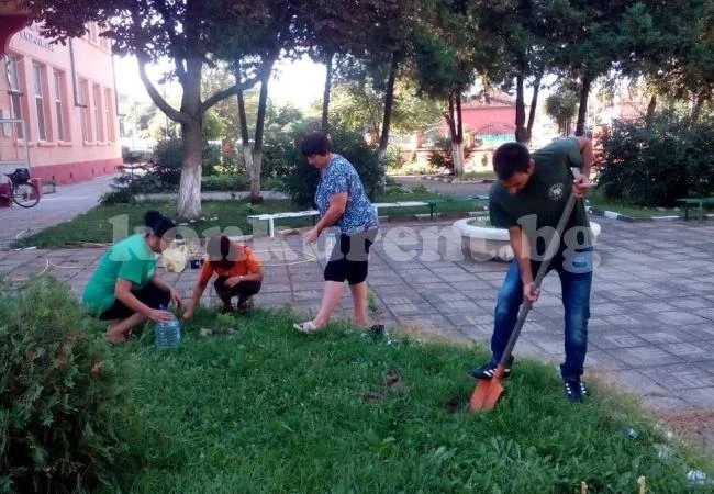 „Зелени патрули” залесиха училищен двор