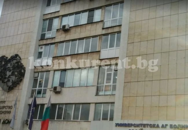 Карат родилка да носи тава с кюфтета и да катери стълби