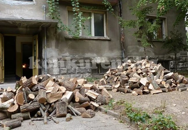 Установиха незаконни дърва в частен имот
