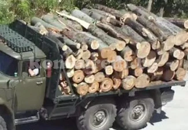 Спипаха нередовна „ГАЗ”-ка с незаконни дърва