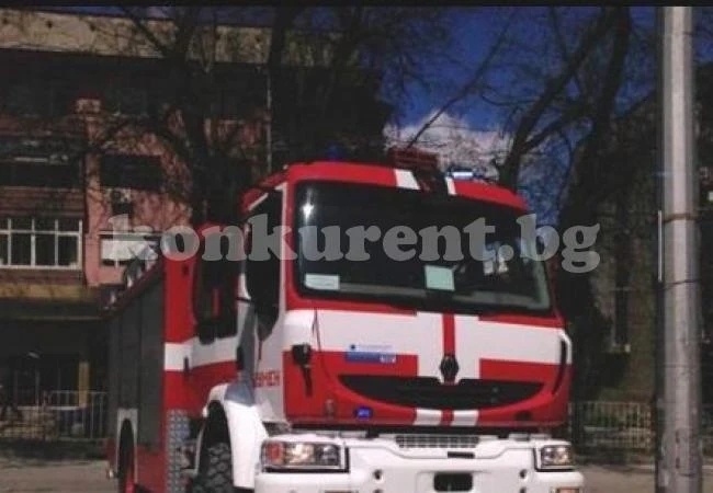 Пожарникари отстраниха изсъхнало дърво пред блок