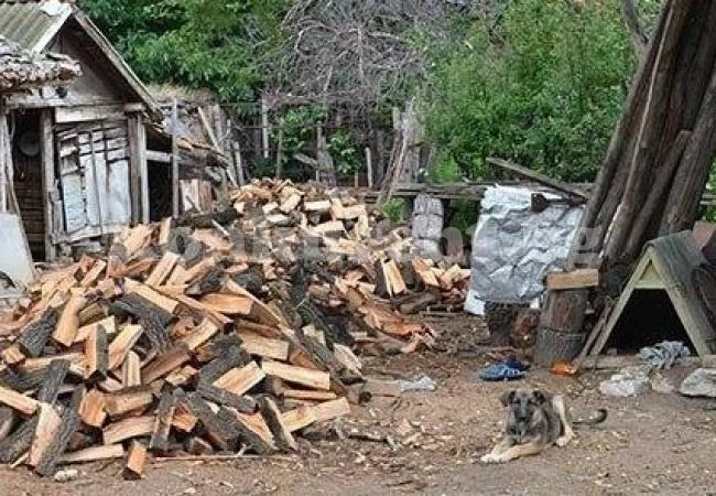 Установиха 13 кубика нередовни дърва за огрев
