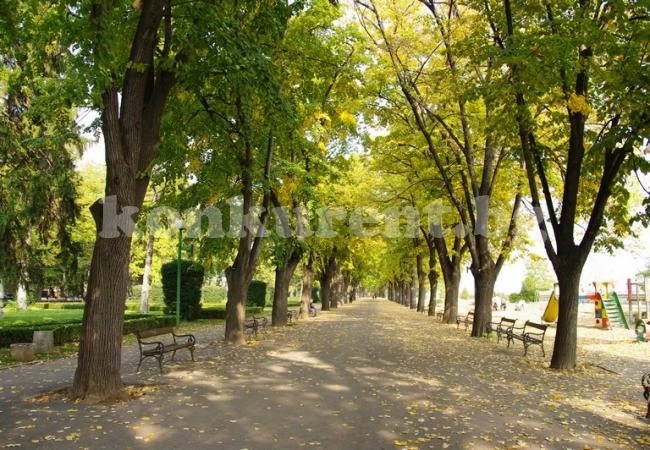 Община Видин се включва в голямото чистене