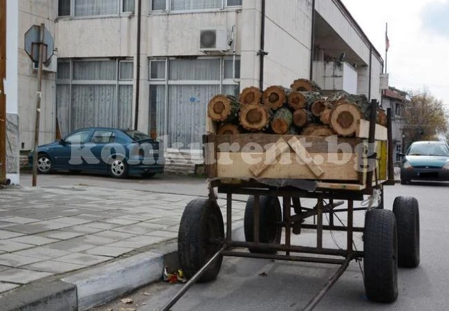 Горски иззеха незаконни дърва