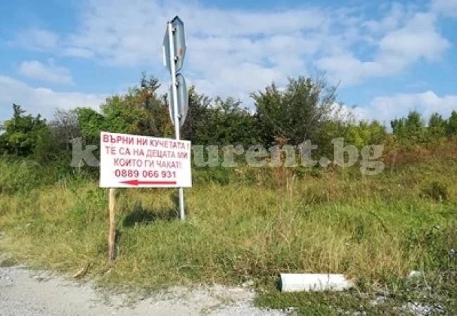Баща на болно дете издирва с билбордове крадците на кучетата му