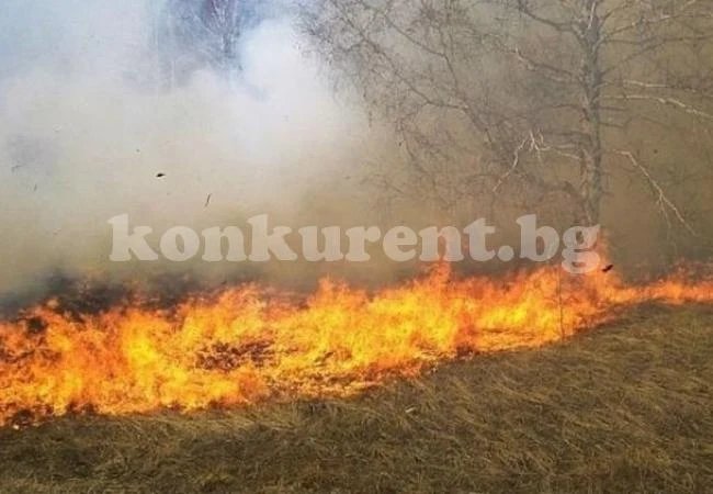 Голям пожар гори между 2 села във...