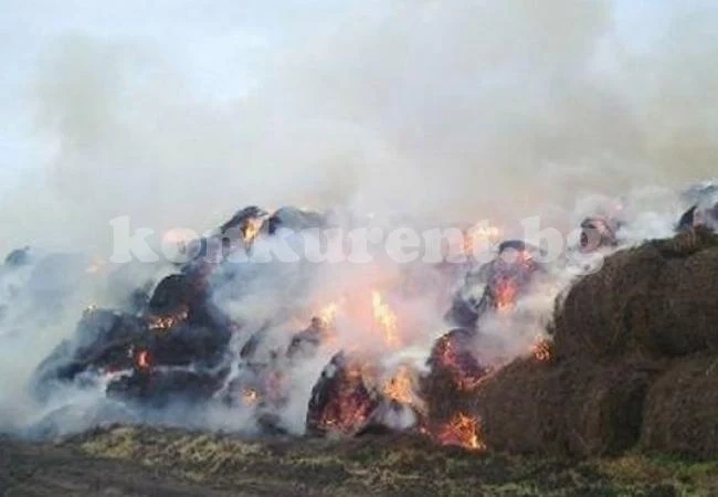 Пожар погълна 280 бали