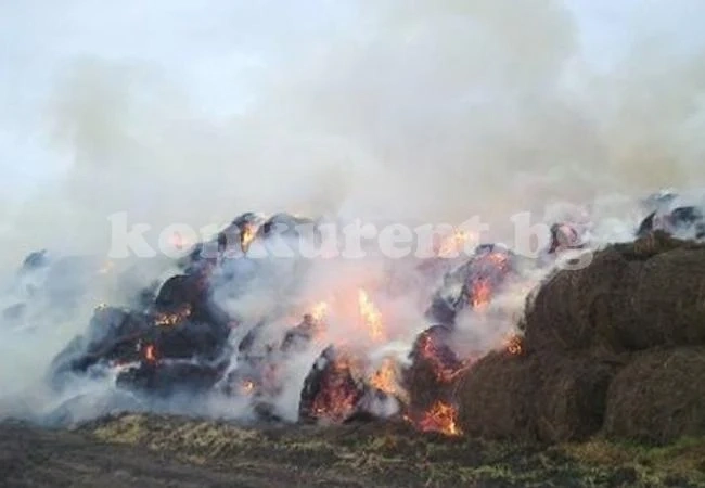 Разкриха кой е запалил 280 бали в село...