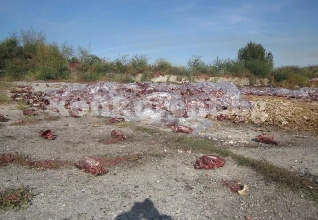Ето какви ангажименти е поел собственика на торището, на което беше изсипана мърша