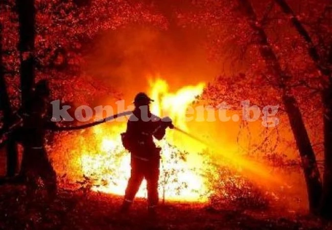 Огнеборци гасиха пожари в сухи треви