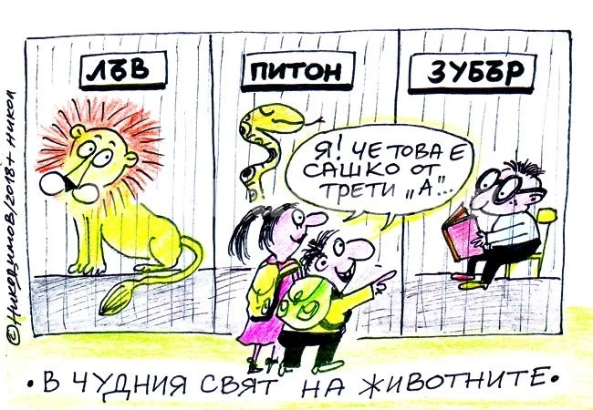 Чуден свят