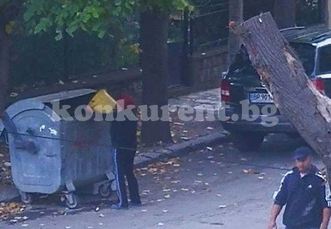 Санкционираха нарушител на общинска наредба