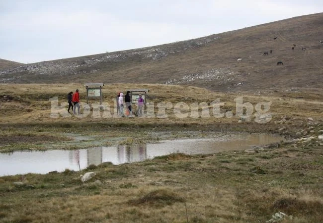Поканиха на водосвет с курбан за Петковден