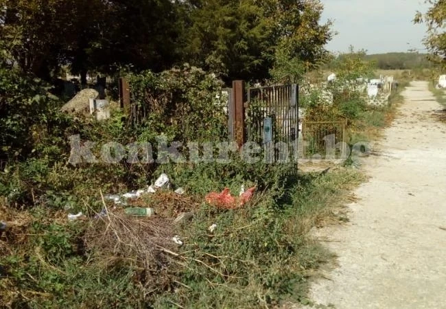 Боклуци заринаха гробищата в Криводол СНИМКИ