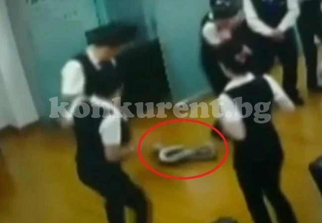 Зловещо: Питон падна от тавана на банка и...