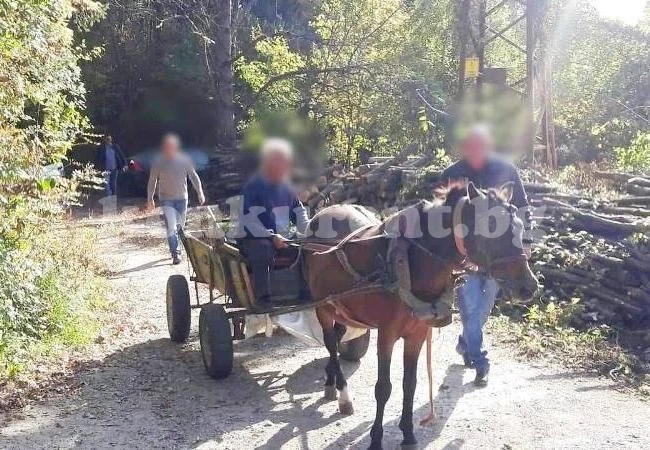 Конфискуваха кон и каруца във Враца
